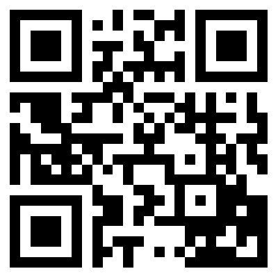 the qr code